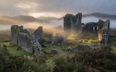 Williams Surname Meaning and Origin: What This Ancient Welsh Name Reveals About Your Family History