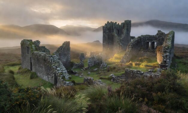 Williams Surname Meaning and Origin: What This Ancient Welsh Name Reveals About Your Family History